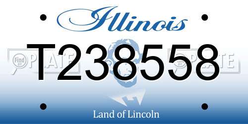 T238558 Illinois License Plate