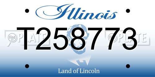 T258773 Illinois License Plate