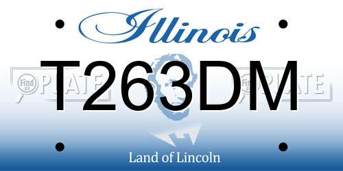 T263DM Illinois License Plate