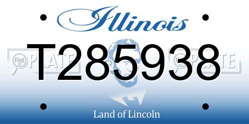 T285938 Illinois License Plate