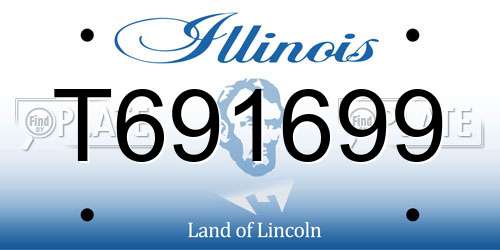 T691699 Illinois License Plate