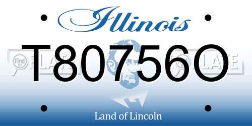 T80756O Illinois License Plate