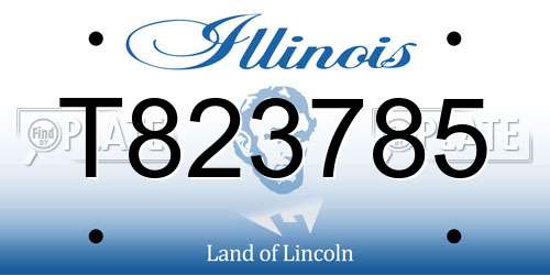 T823785 Illinois License Plate