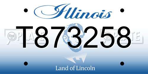 T873258 Illinois License Plate