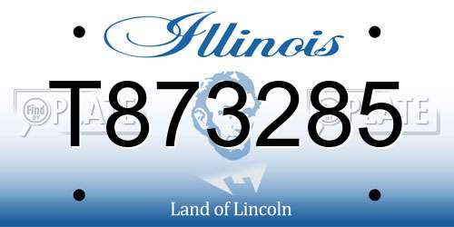 T873285 Illinois License Plate
