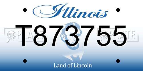 T873755 Illinois License Plate