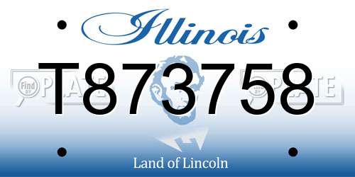 T873758 Illinois License Plate