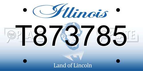 T873785 Illinois License Plate