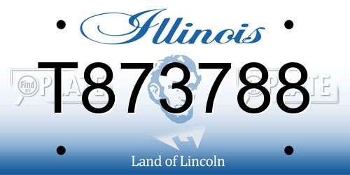 T873788 Illinois License Plate