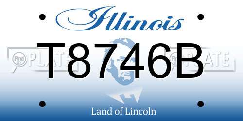 T8746B Illinois License Plate