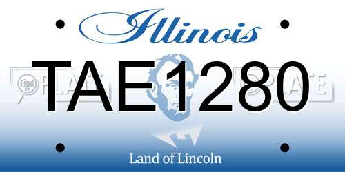 TAE1280 Illinois License Plate