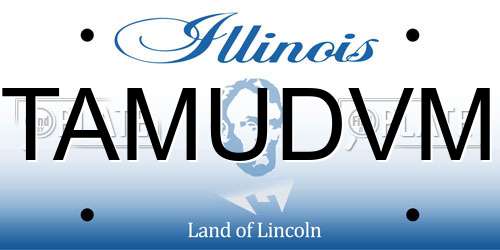 TAMUDVM Illinois License Plate