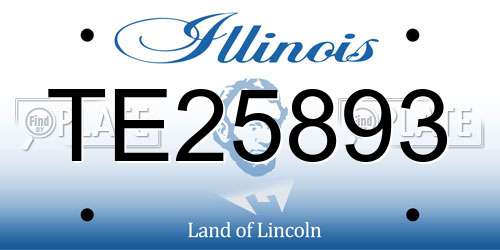 TE25893 Illinois License Plate