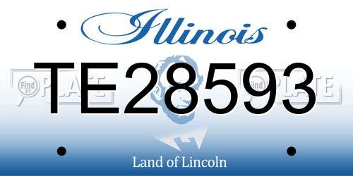 TE28593 Illinois License Plate