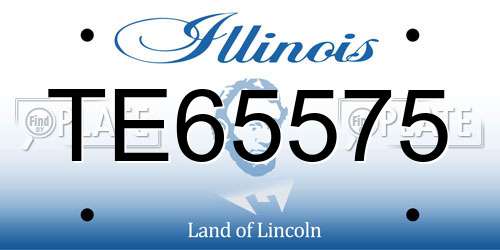 TE65575 Illinois License Plate
