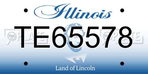 TE65578 Illinois License Plate
