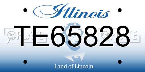 TE65828 Illinois License Plate