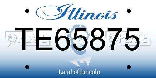 TE65875 Illinois License Plate
