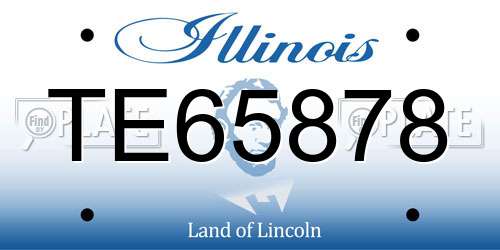 TE65878 Illinois License Plate