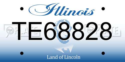 TE68828 Illinois License Plate