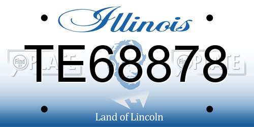 TE68878 Illinois License Plate
