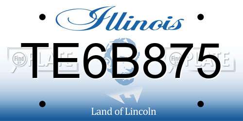 TE6B875 Illinois License Plate