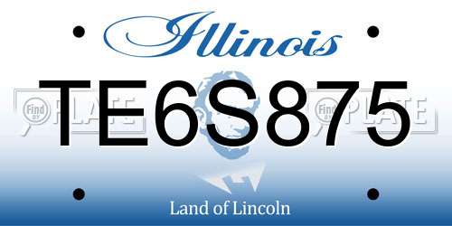 TE6S875 Illinois License Plate