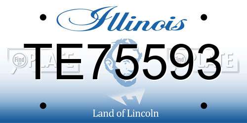 TE75593 Illinois License Plate
