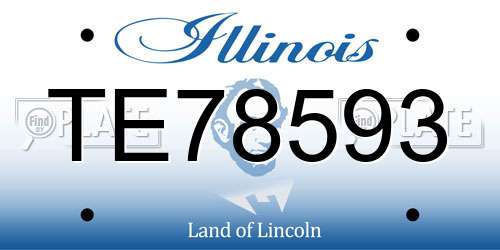 TE78593 Illinois License Plate