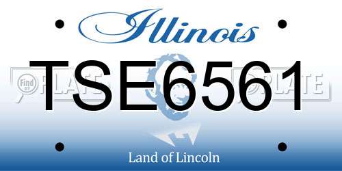TSE6561 Illinois License Plate