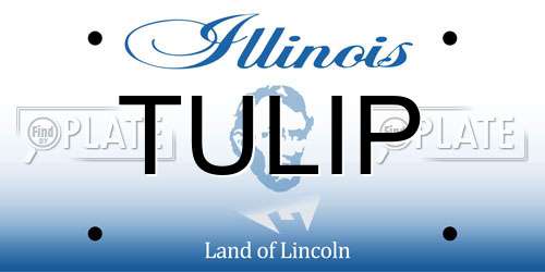 TULIP Illinois License Plate