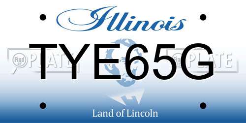 TYE65G Illinois License Plate