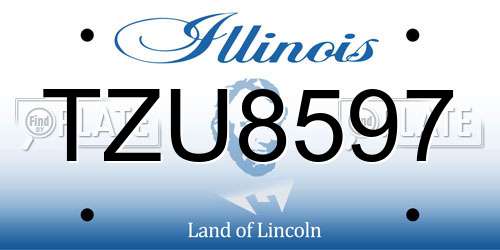 TZU8597 Illinois License Plate