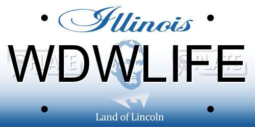 WDWLIFE Illinois License Plate