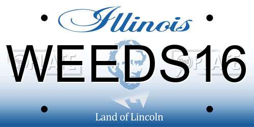 WEEDS16 Illinois License Plate