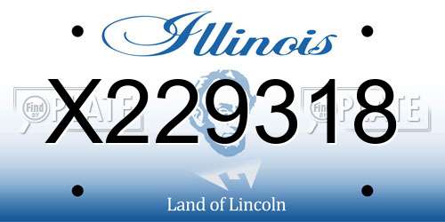 X229318 Illinois License Plate