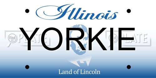 YORKIE Illinois License Plate