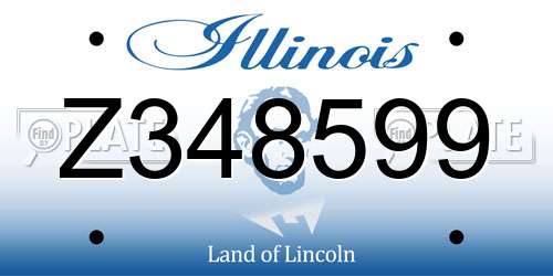 Z348599 Illinois License Plate