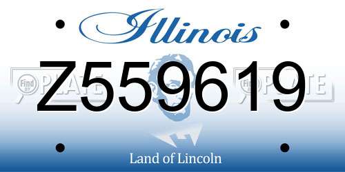 Z559619 Illinois License Plate