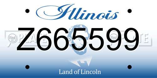 Z665599 Illinois License Plate