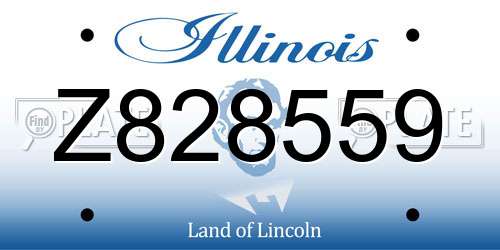Z828559 Illinois License Plate
