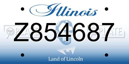 Z854687 Illinois License Plate