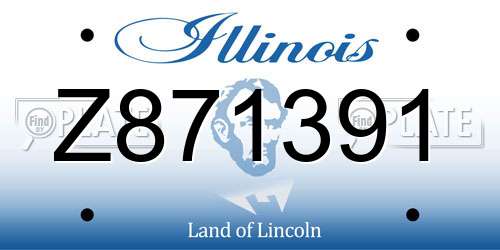 Z871391 Illinois License Plate