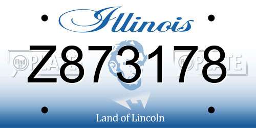 Z873178 Illinois License Plate