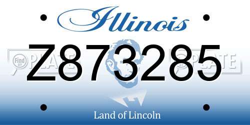 Z873285 Illinois License Plate