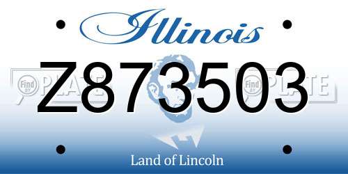 Z873503 Illinois License Plate