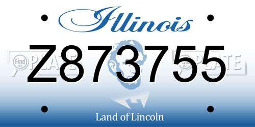 Z873755 Illinois License Plate