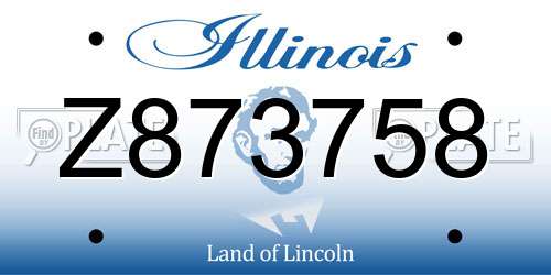 Z873758 Illinois License Plate