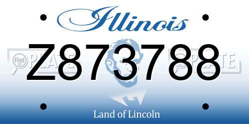 Z873788 Illinois License Plate