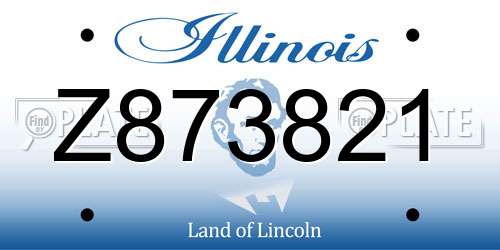 Z873821 Illinois License Plate
